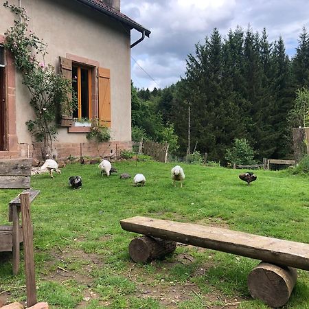 A L'Oree De Soi - Maison Forestiere De La Soie - Eco Gite, Chambres D'Hotes, Camping Au Pied Des Vosges Saint-Sauveur  ภายนอก รูปภาพ