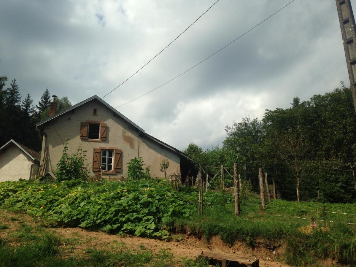 A L'Oree De Soi - Maison Forestiere De La Soie - Eco Gite, Chambres D'Hotes, Camping Au Pied Des Vosges Saint-Sauveur  ภายนอก รูปภาพ