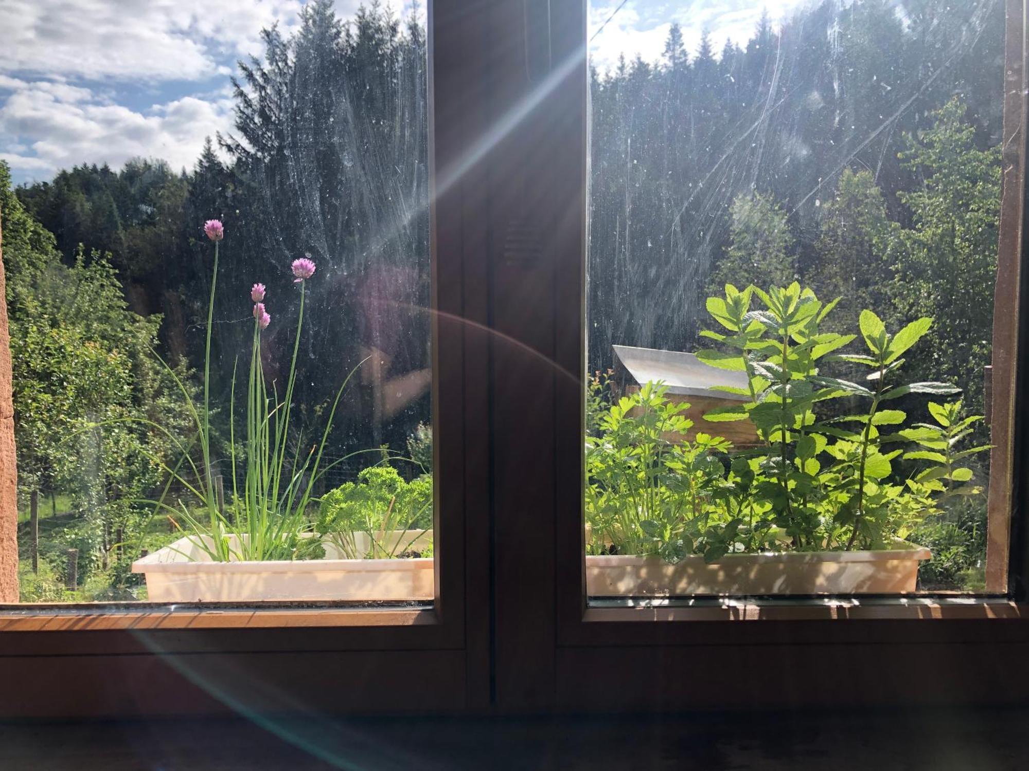 A L'Oree De Soi - Maison Forestiere De La Soie - Eco Gite, Chambres D'Hotes, Camping Au Pied Des Vosges Saint-Sauveur  ภายนอก รูปภาพ