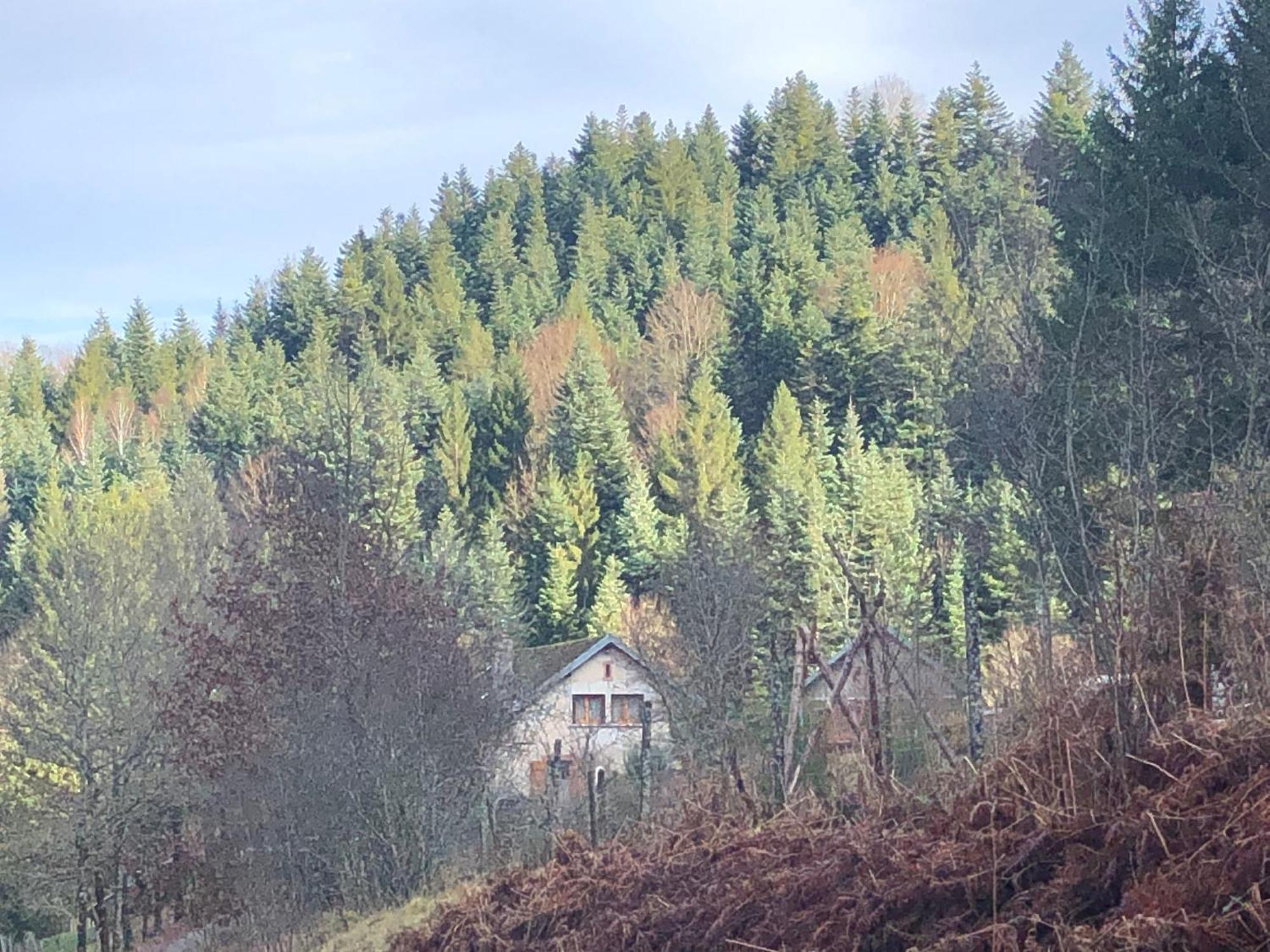 A L'Oree De Soi - Maison Forestiere De La Soie - Eco Gite, Chambres D'Hotes, Camping Au Pied Des Vosges Saint-Sauveur  ภายนอก รูปภาพ