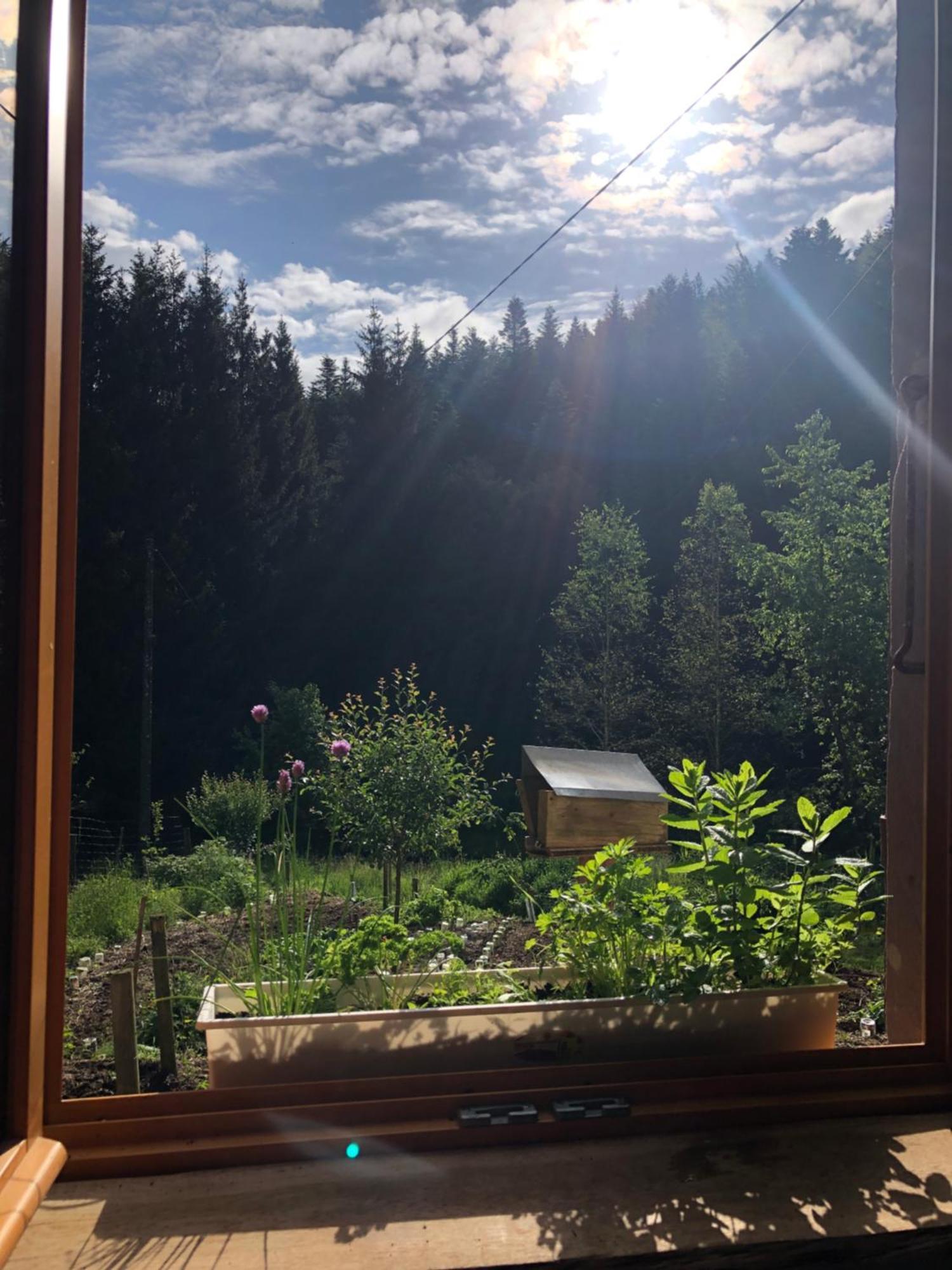 A L'Oree De Soi - Maison Forestiere De La Soie - Eco Gite, Chambres D'Hotes, Camping Au Pied Des Vosges Saint-Sauveur  ภายนอก รูปภาพ