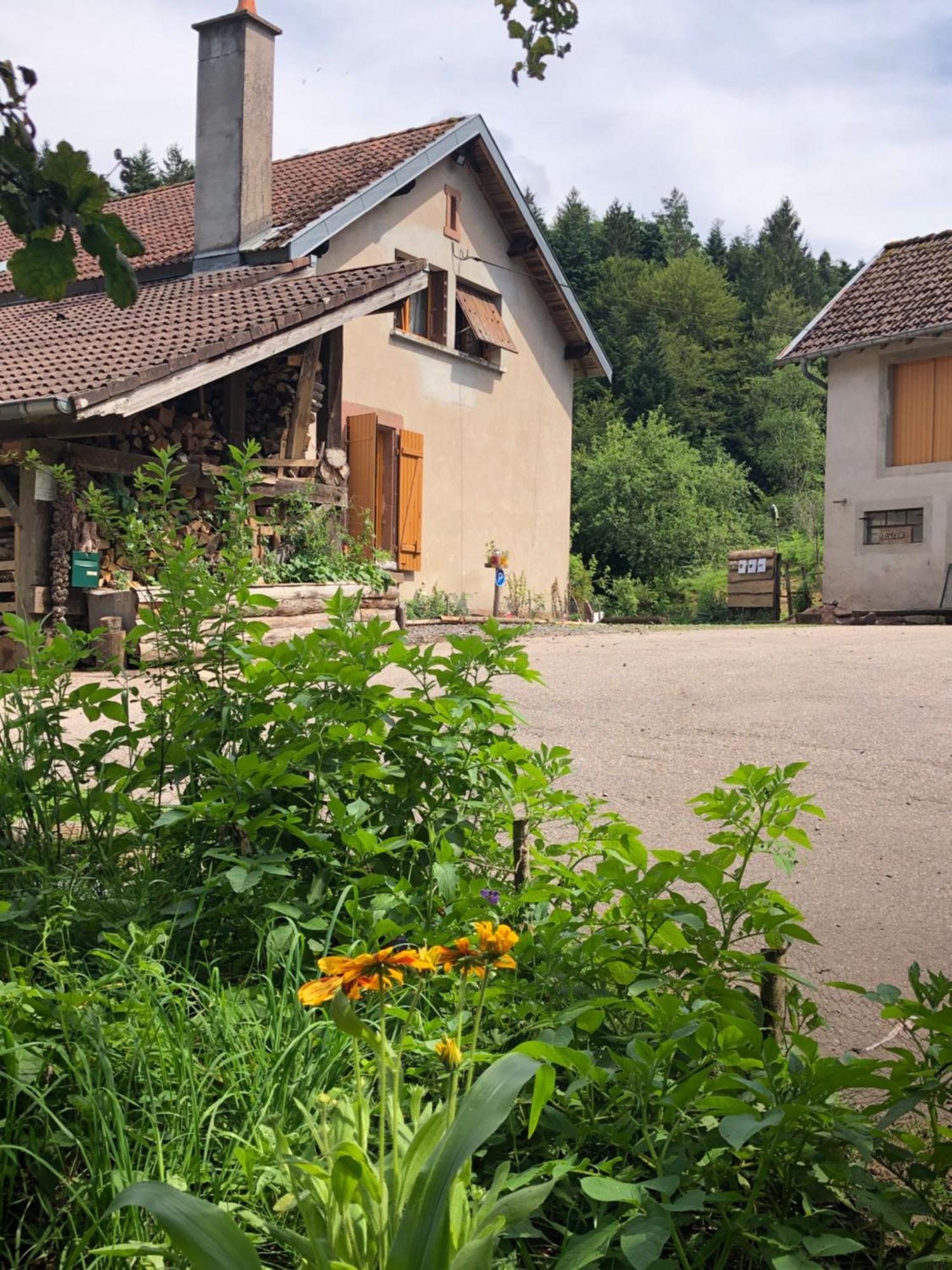 A L'Oree De Soi - Maison Forestiere De La Soie - Eco Gite, Chambres D'Hotes, Camping Au Pied Des Vosges Saint-Sauveur  ภายนอก รูปภาพ