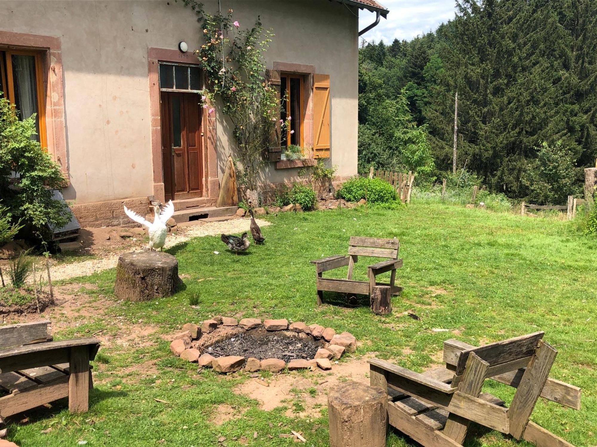 A L'Oree De Soi - Maison Forestiere De La Soie - Eco Gite, Chambres D'Hotes, Camping Au Pied Des Vosges Saint-Sauveur  ภายนอก รูปภาพ