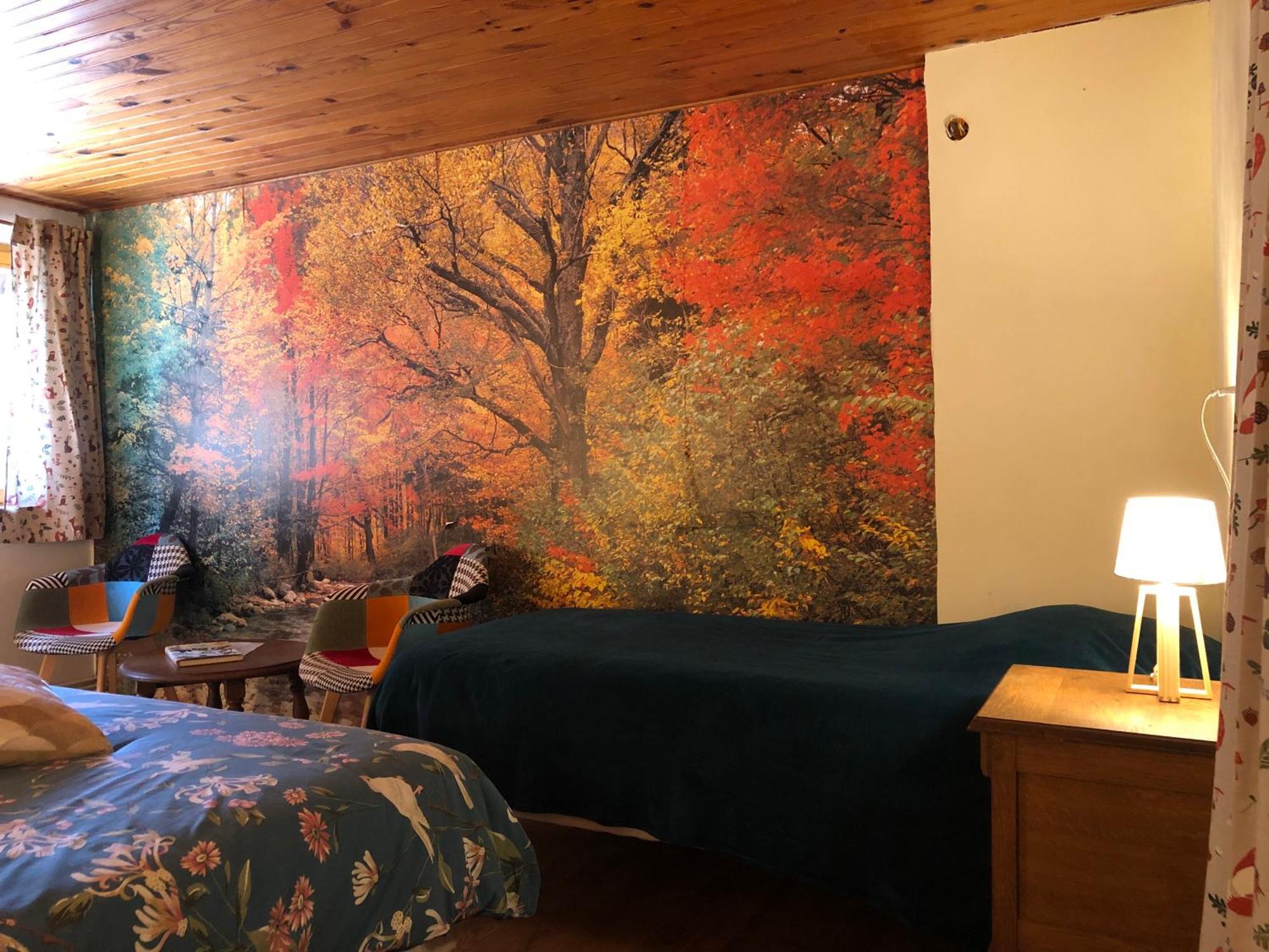 A L'Oree De Soi - Maison Forestiere De La Soie - Eco Gite, Chambres D'Hotes, Camping Au Pied Des Vosges Saint-Sauveur  ภายนอก รูปภาพ