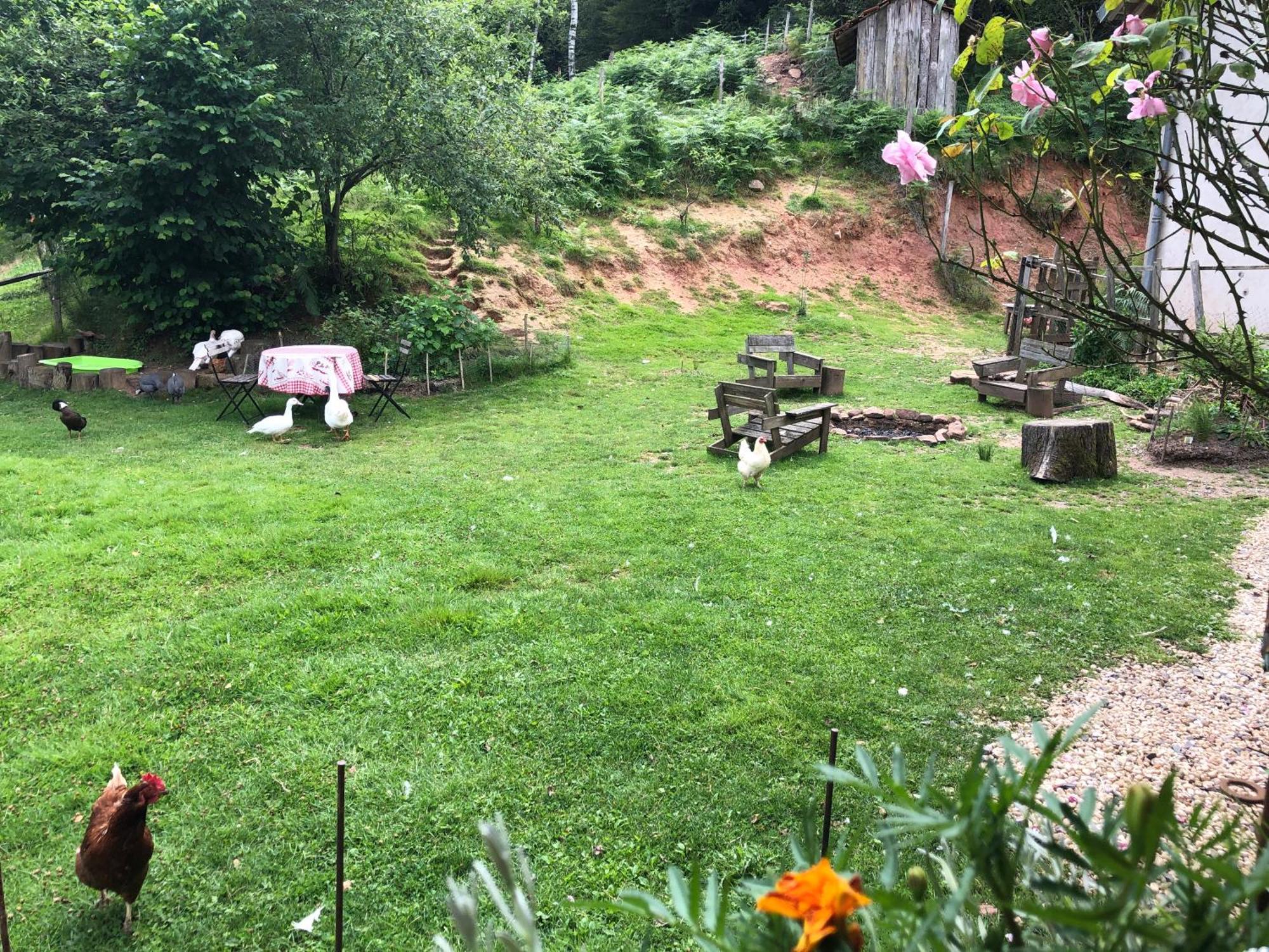 A L'Oree De Soi - Maison Forestiere De La Soie - Eco Gite, Chambres D'Hotes, Camping Au Pied Des Vosges Saint-Sauveur  ภายนอก รูปภาพ